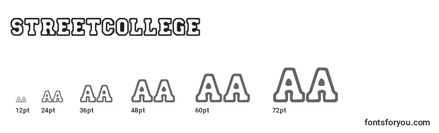 StreetCollege Font Sizes