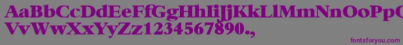 XBambi Font – Purple Fonts on Gray Background