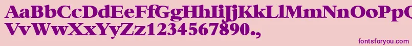 XBambi Font – Purple Fonts on Pink Background