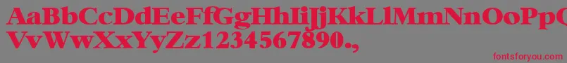 XBambi Font – Red Fonts on Gray Background