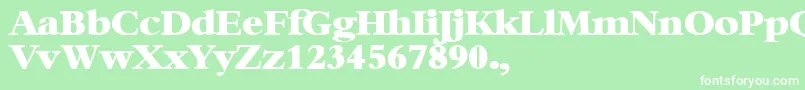 XBambi Font – White Fonts on Green Background