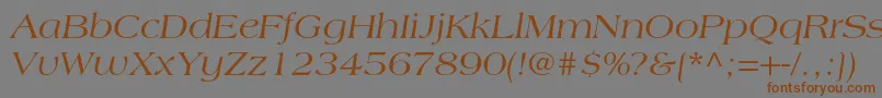 AmericanastdItalic Font – Brown Fonts on Gray Background