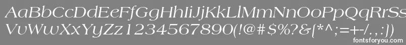 AmericanastdItalic Font – White Fonts on Gray Background