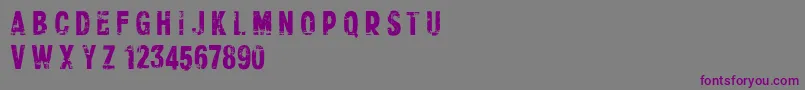 CfxerographydemoRegular Font – Purple Fonts on Gray Background