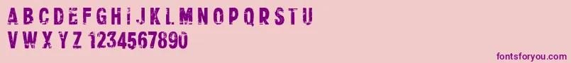 CfxerographydemoRegular Font – Purple Fonts on Pink Background