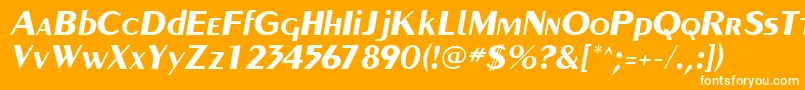 フォントCarnatiSsiBoldItalic – オレンジの背景に白い文字