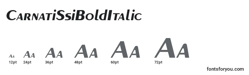 Размеры шрифта CarnatiSsiBoldItalic
