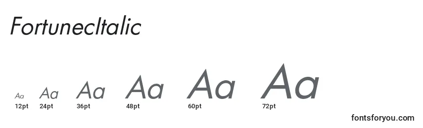 FortunecItalic Font Sizes