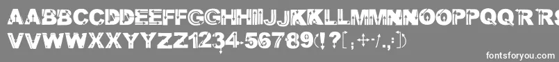 Wildarrows Font – White Fonts on Gray Background
