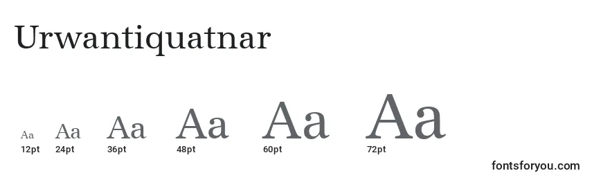 Размеры шрифта Urwantiquatnar