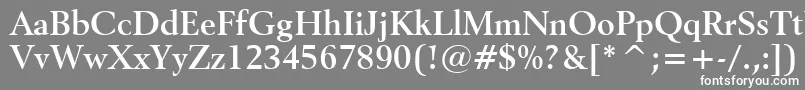 フォントRevival565BoldBt – 灰色の背景に白い文字