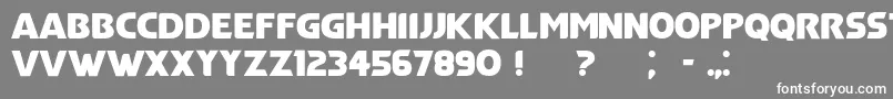 フォントDuracellioRegular – 灰色の背景に白い文字