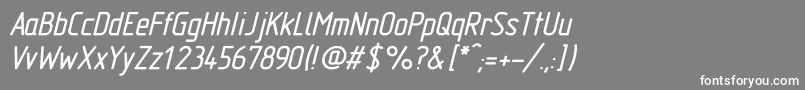 GostTypeABoldItalic Font – White Fonts on Gray Background