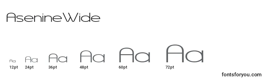 Размеры шрифта AsenineWide