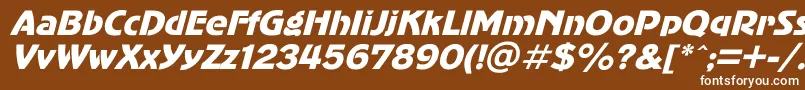 フォントAdvergo1 – 茶色の背景に白い文字