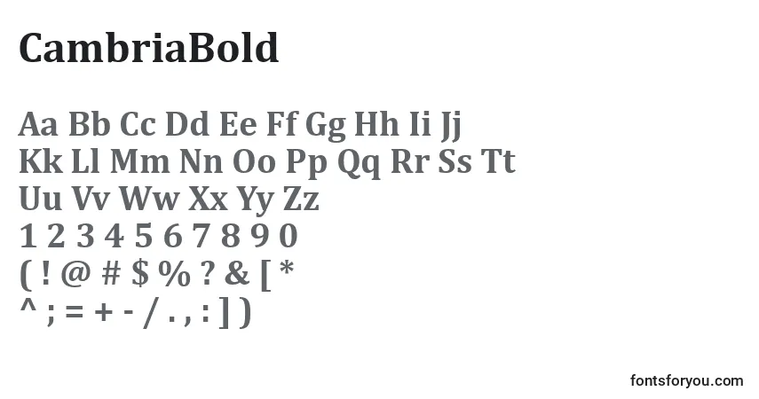 CambriaBold Font – alphabet, numbers, special characters