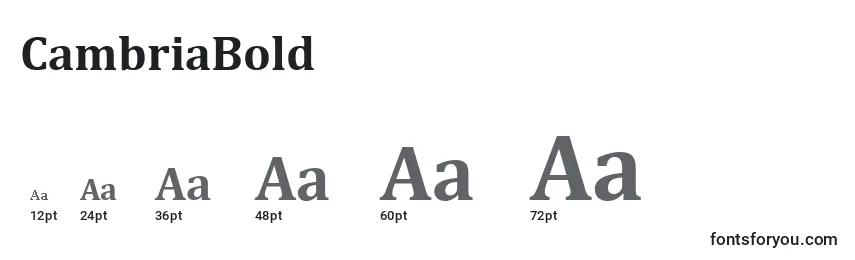 CambriaBold Font Sizes