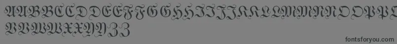 WittewittmajusclesFlourish Font – Black Fonts on Gray Background