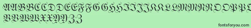 WittewittmajusclesFlourish Font – Black Fonts on Green Background
