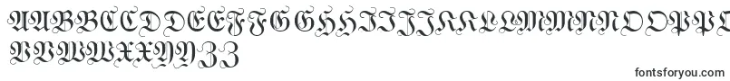 WittewittmajusclesFlourish-Schriftart – Schriftarten, die mit W beginnen