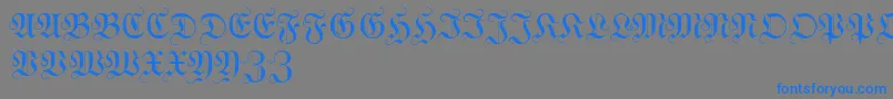 WittewittmajusclesFlourish Font – Blue Fonts on Gray Background