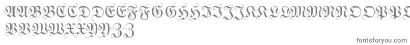WittewittmajusclesFlourish Font – Gray Fonts on White Background