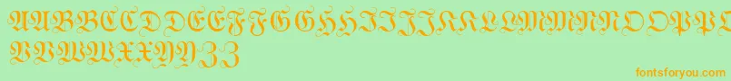 WittewittmajusclesFlourish Font – Orange Fonts on Green Background