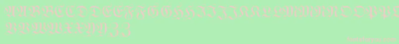 WittewittmajusclesFlourish Font – Pink Fonts on Green Background