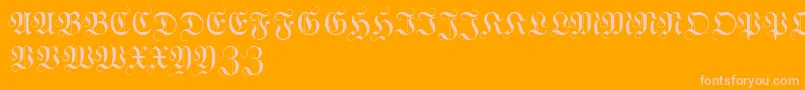WittewittmajusclesFlourish Font – Pink Fonts on Orange Background
