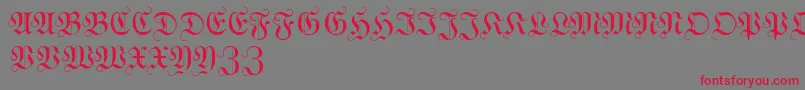 WittewittmajusclesFlourish Font – Red Fonts on Gray Background