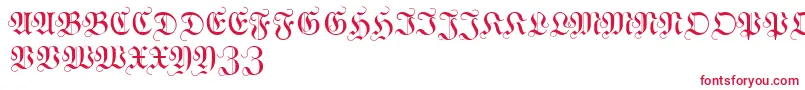 Czcionka WittewittmajusclesFlourish – czerwone czcionki