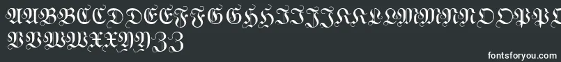 WittewittmajusclesFlourish Font – White Fonts on Black Background