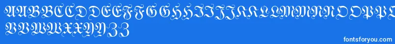 WittewittmajusclesFlourish Font – White Fonts on Blue Background