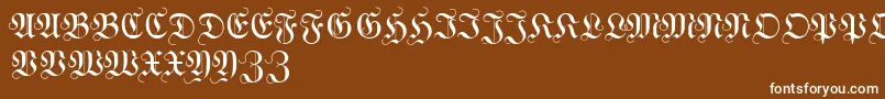 WittewittmajusclesFlourish Font – White Fonts on Brown Background