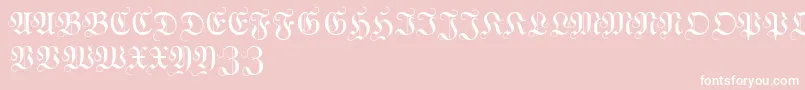 WittewittmajusclesFlourish Font – White Fonts on Pink Background