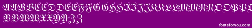 WittewittmajusclesFlourish Font – White Fonts on Purple Background