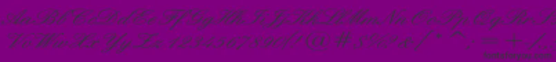 EnglishWd-Schriftart – Schwarze Schriften auf violettem Hintergrund