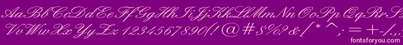 EnglishWd Font – Pink Fonts on Purple Background