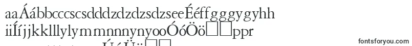Шрифт GaramondreprisesskRegular – венгерские шрифты
