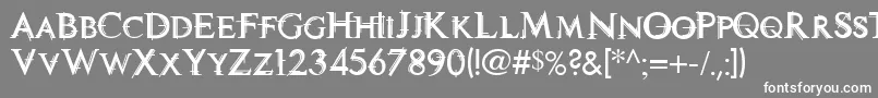 フォントTechnoviaCaps – 灰色の背景に白い文字