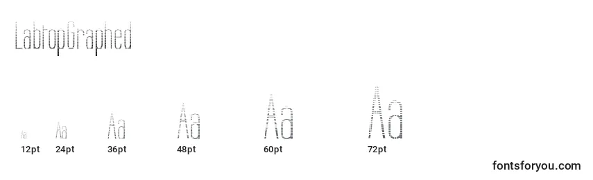 LabtopGraphed Font Sizes