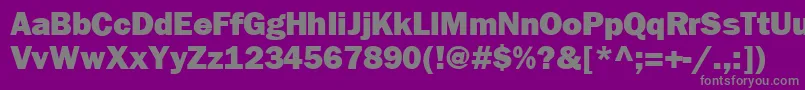 FrankfurtheavyRegular Font – Gray Fonts on Purple Background