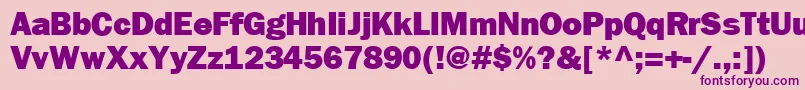 FrankfurtheavyRegular Font – Purple Fonts on Pink Background