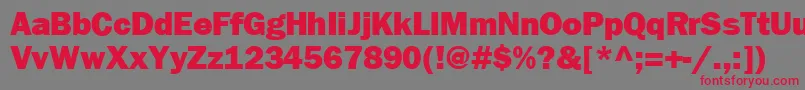 FrankfurtheavyRegular Font – Red Fonts on Gray Background