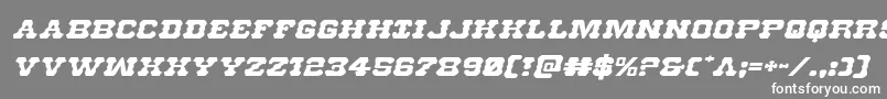 Usmarshalexpandital Font – White Fonts on Gray Background