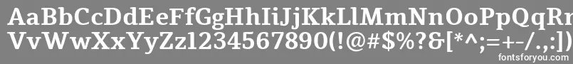 フォントTienneBold – 灰色の背景に白い文字