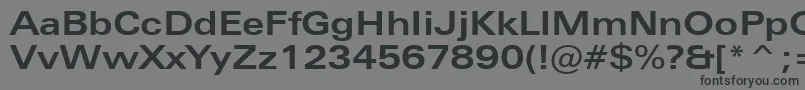 ZurichBoldExtendedBt Font – Black Fonts on Gray Background