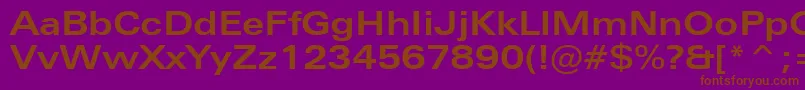 ZurichBoldExtendedBt Font – Brown Fonts on Purple Background
