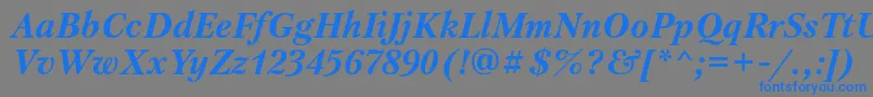 PetersburgattBolditalic Font – Blue Fonts on Gray Background
