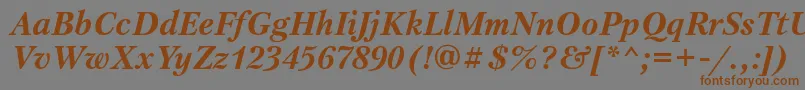 PetersburgattBolditalic Font – Brown Fonts on Gray Background